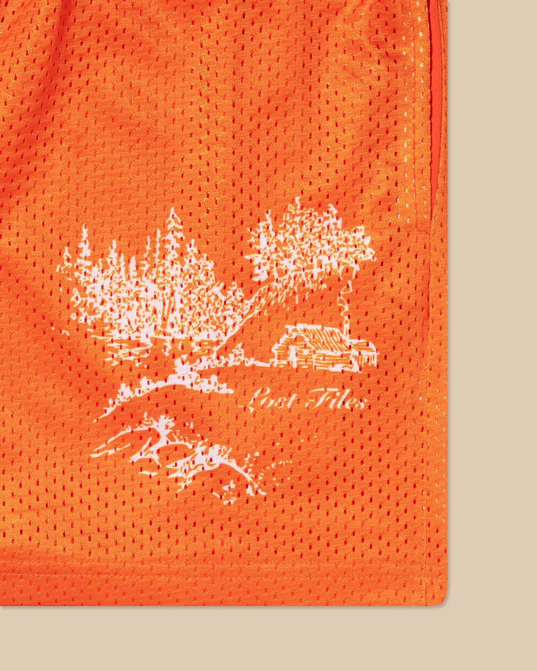 Cabin Scene Basic Shorts - Orange